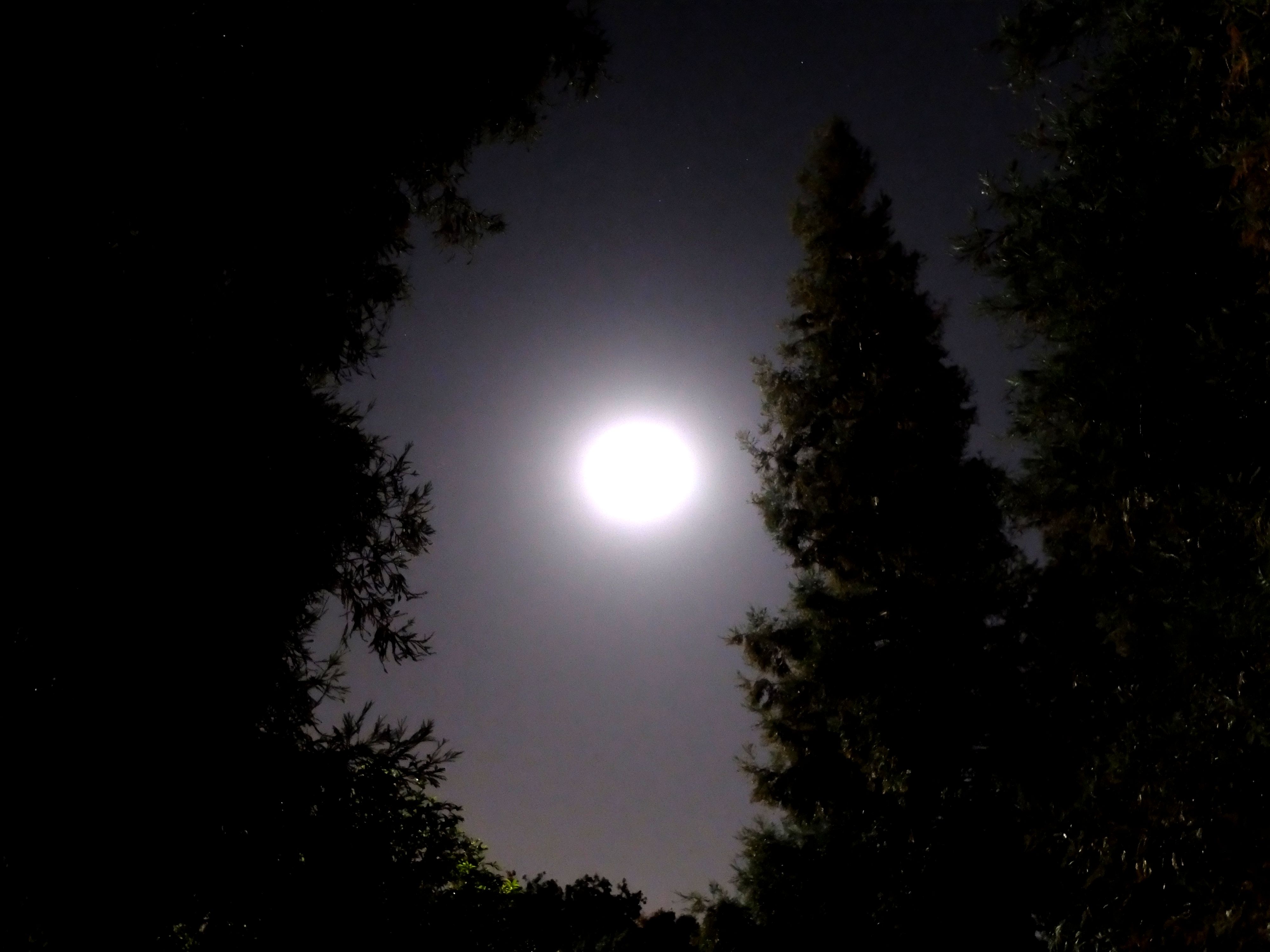 dscf3248