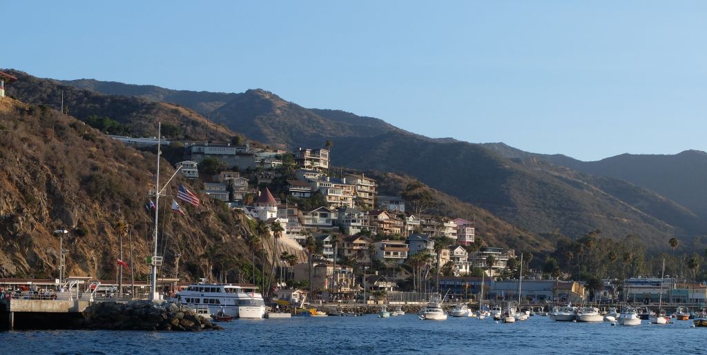 Catalina Island (2/2)