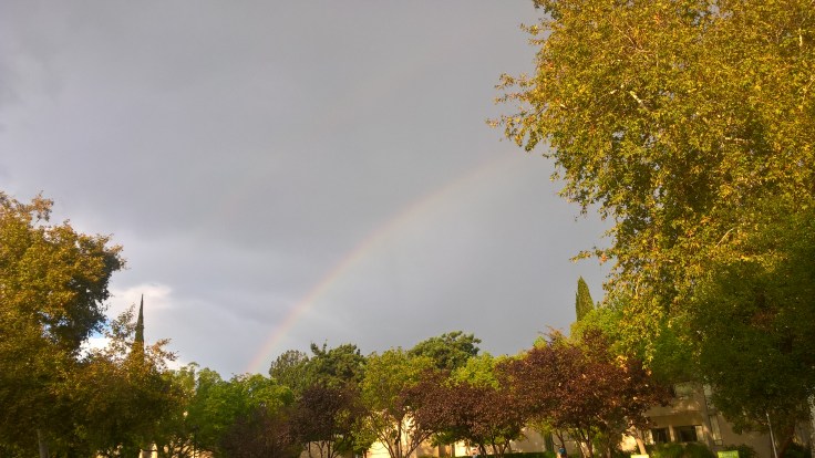 wp_20160928_17_25_08_pro