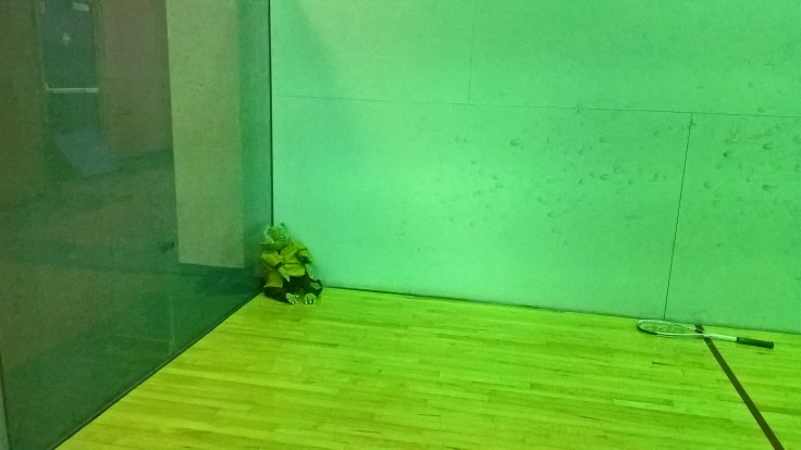 wp_20161214_16_23_25_pro