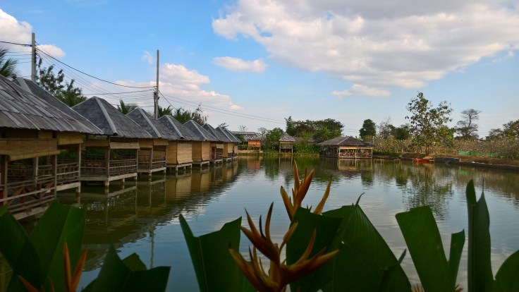 wp_20170105_23_54_21_pro