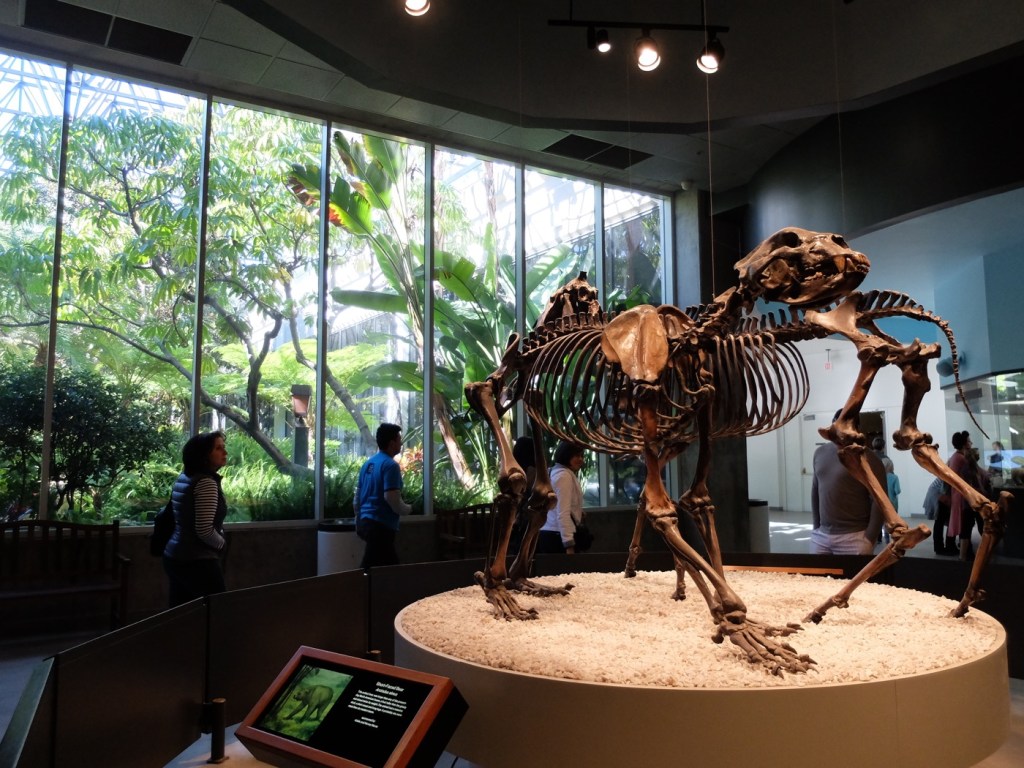 Le Page Muséum, musée de paléontologie : &laquo;&nbsp;Another day in the sun of Los Angeles&nbsp;&raquo;
