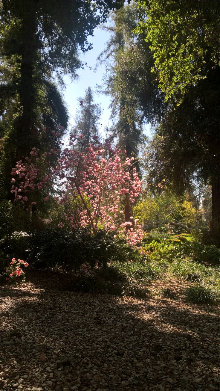 WP_20170301_10_24_17_Pro