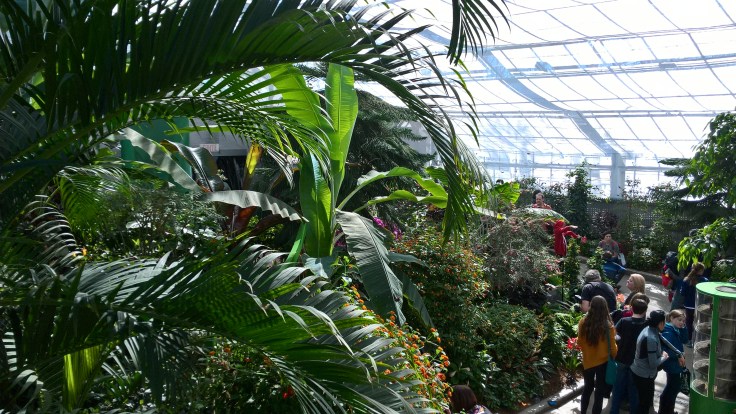 WP_20170317_12_46_04_Pro