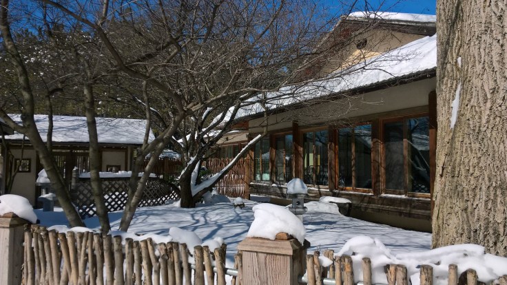 WP_20170317_14_34_22_Pro