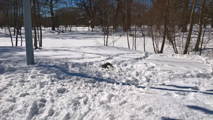 WP_20170317_14_42_17_Pro