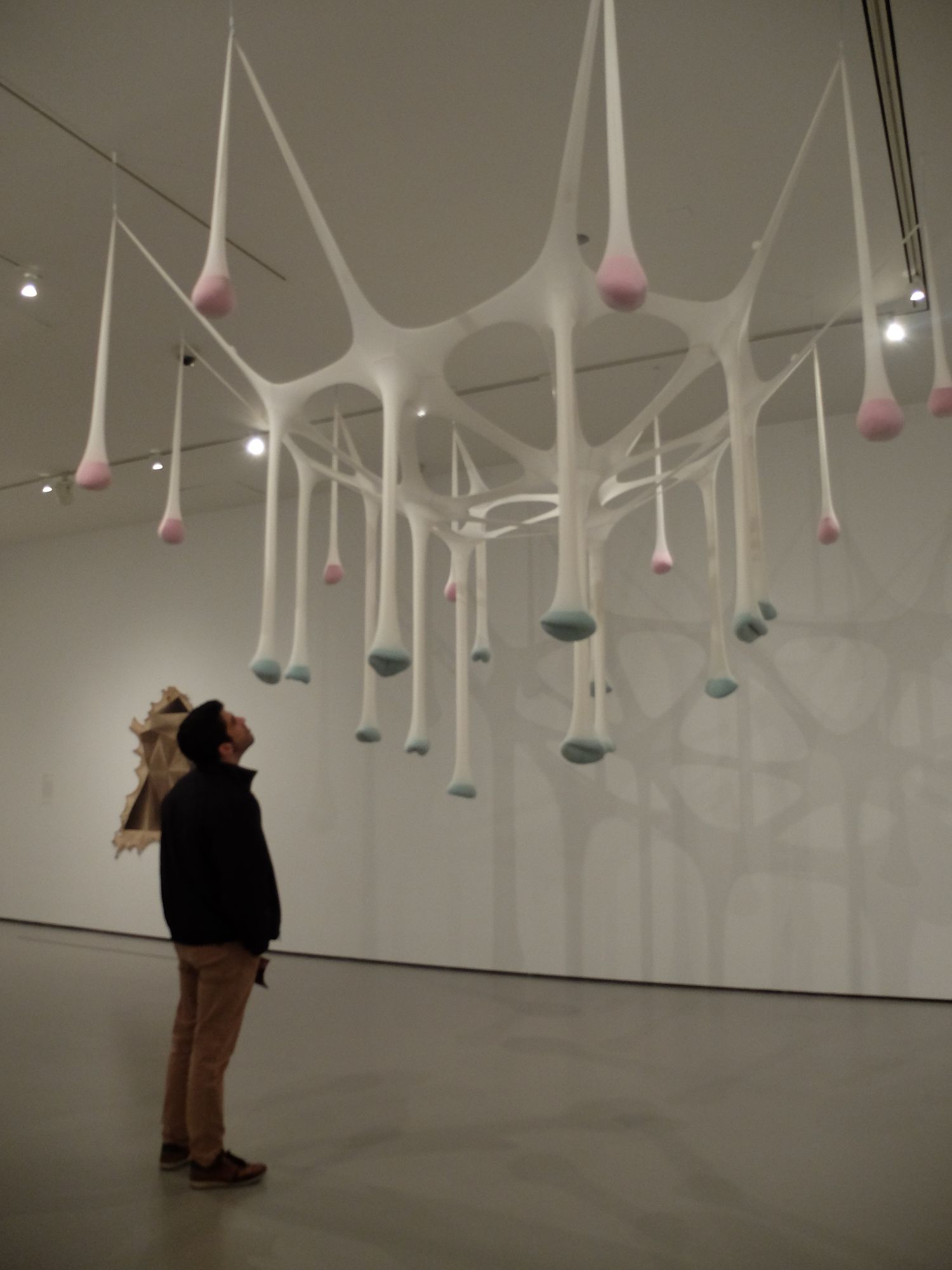 DSCF9588