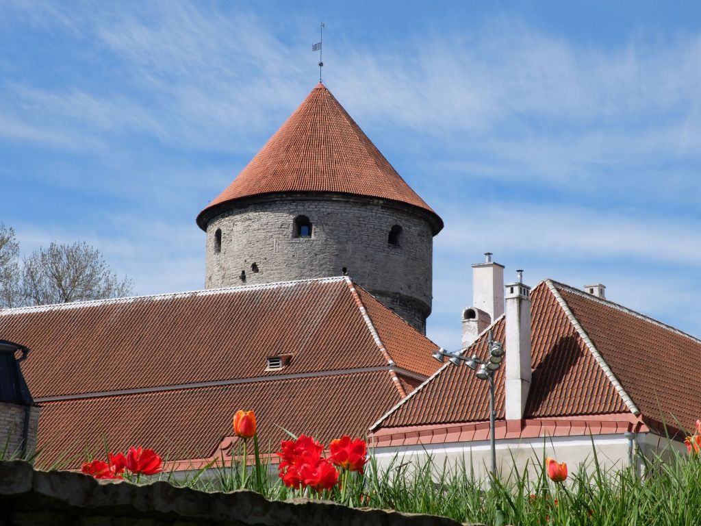 Tallinn : &laquo;&nbsp;The Times We Had&nbsp;&raquo;