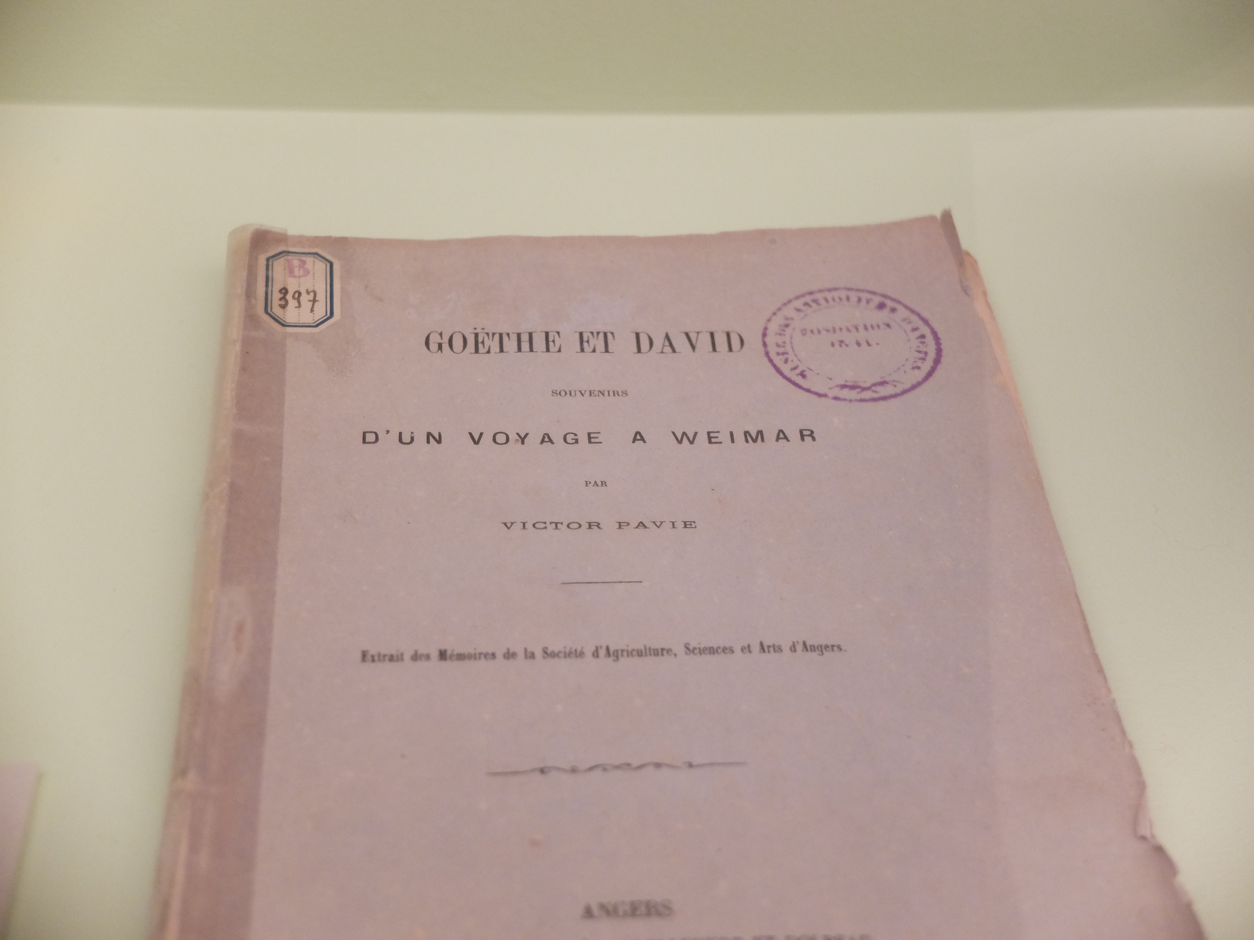 DSCF0494.JPG
