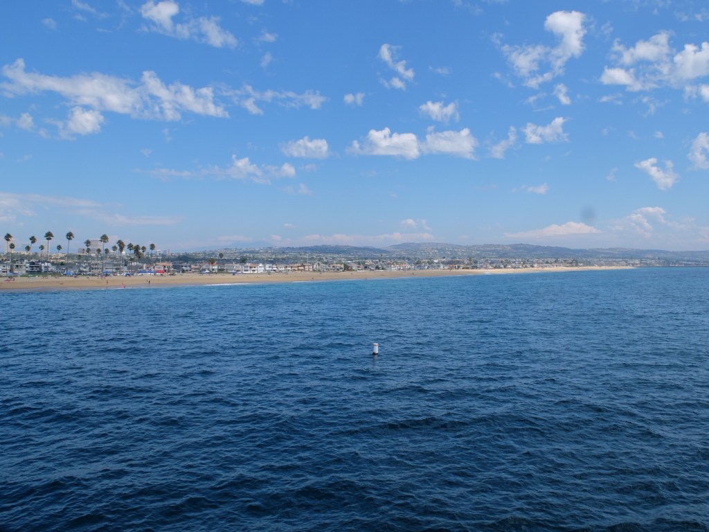 Une rentrée californienne : Cumbia & Newport&nbsp;Beach