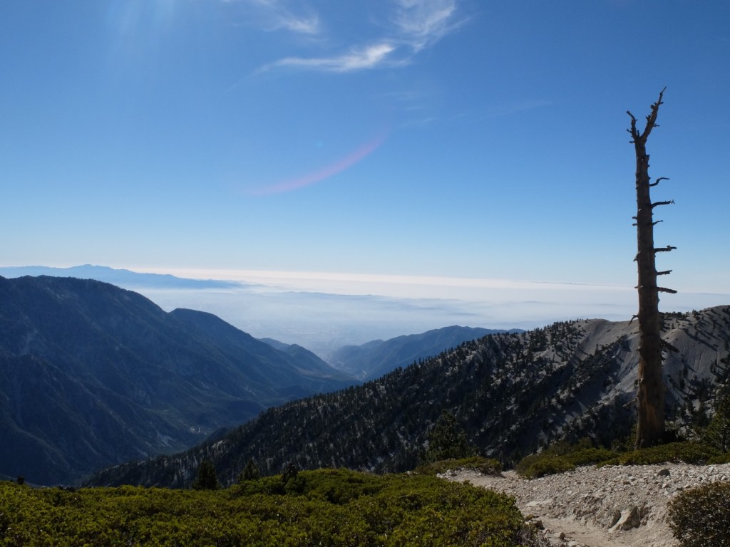 Un Mont Baldy qui&nbsp;décoiffe