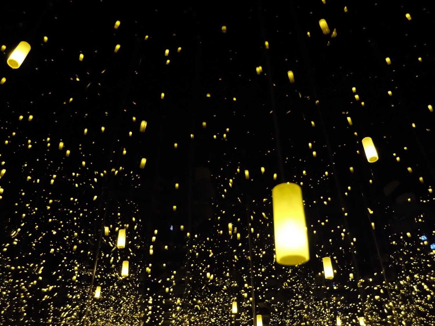 DSCF2969-