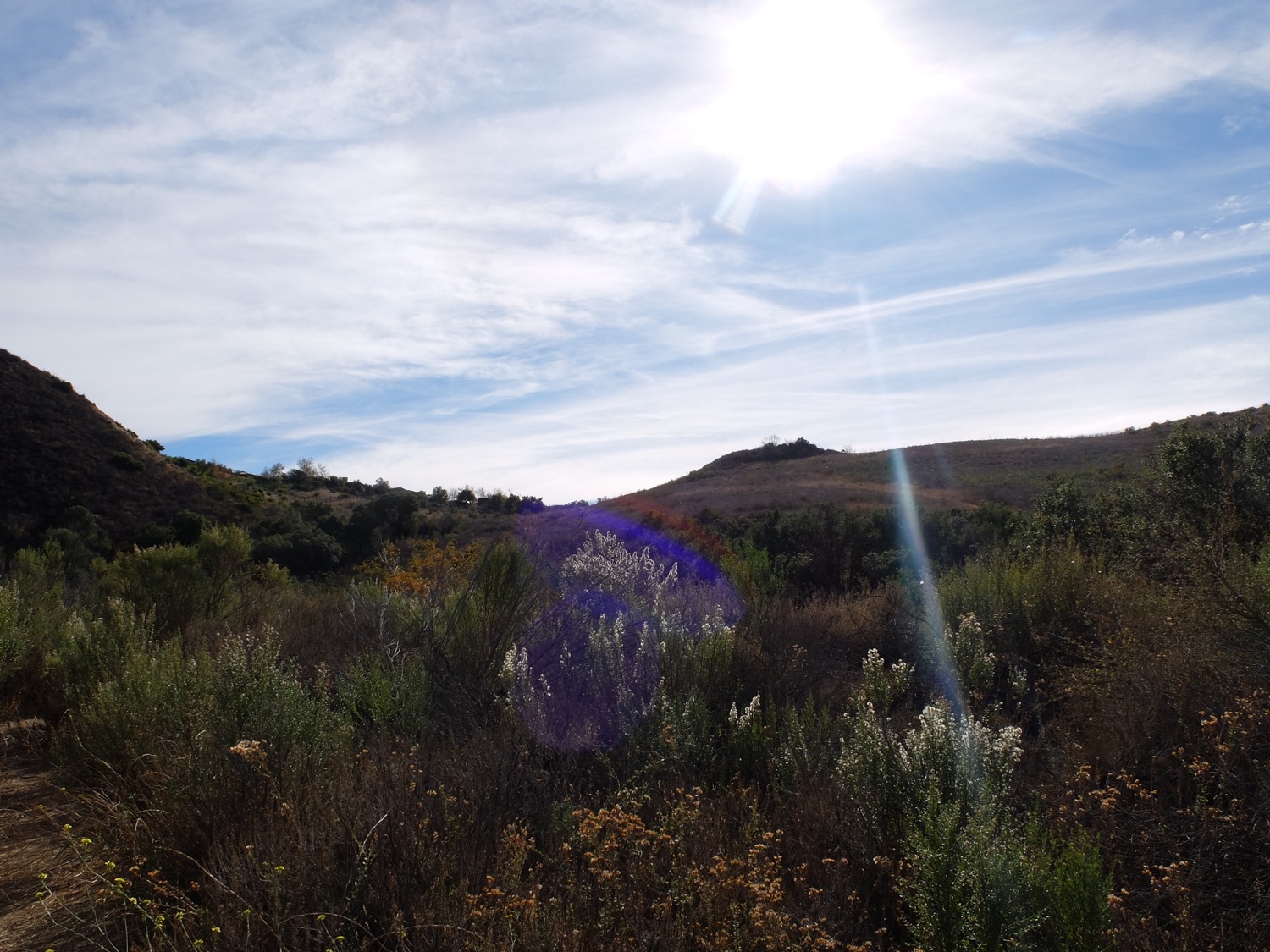 Malibu_07