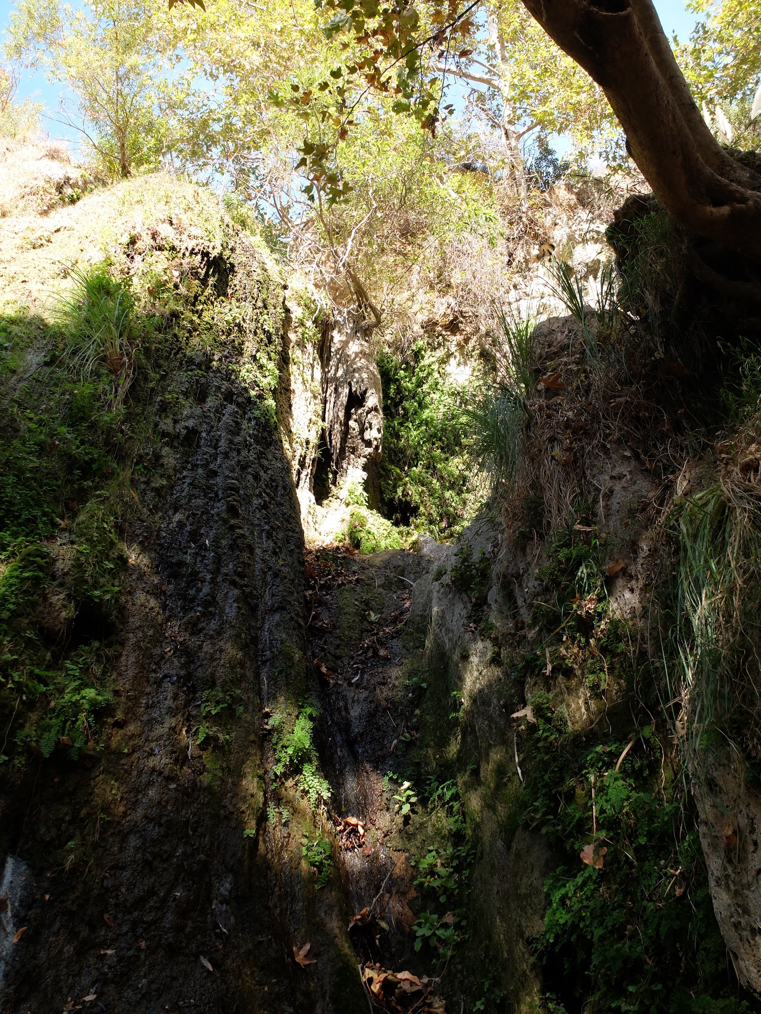 Malibu_08