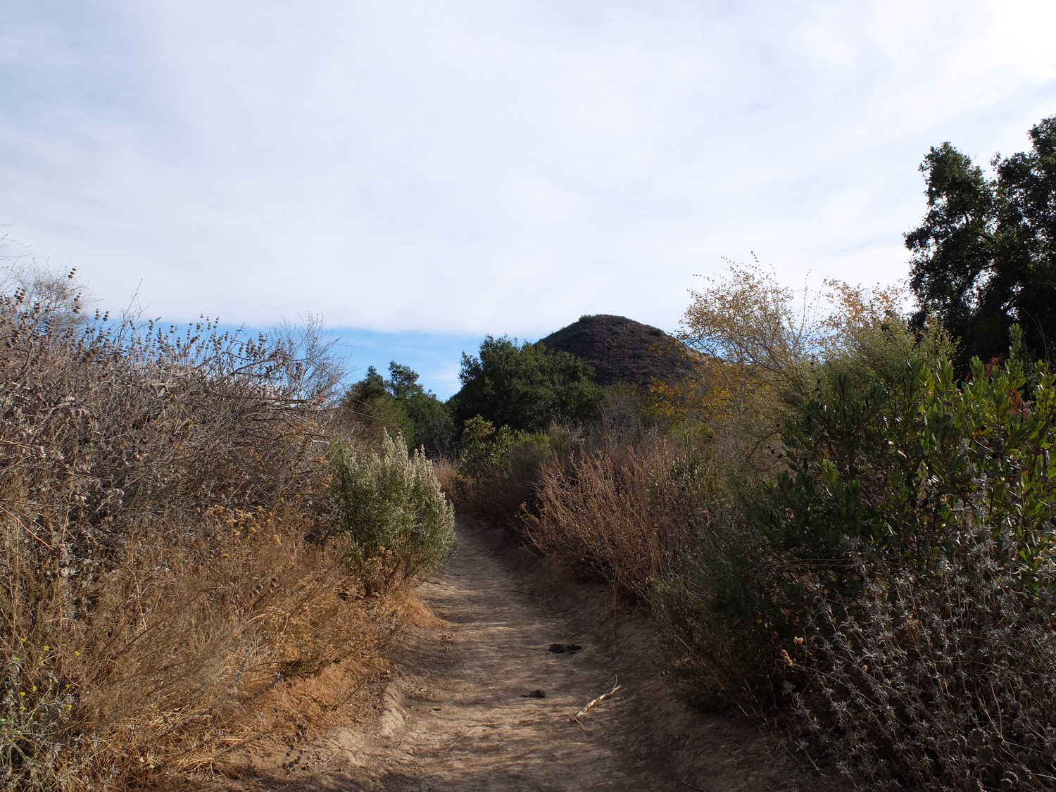 Malibu_11