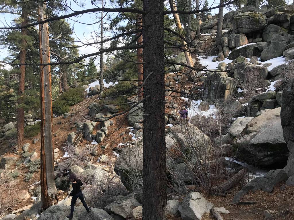 Spring Break (2/2): &laquo;&nbsp;Castle Rock Trail & Stanfield Marsh Boardwalk&nbsp;&raquo;
