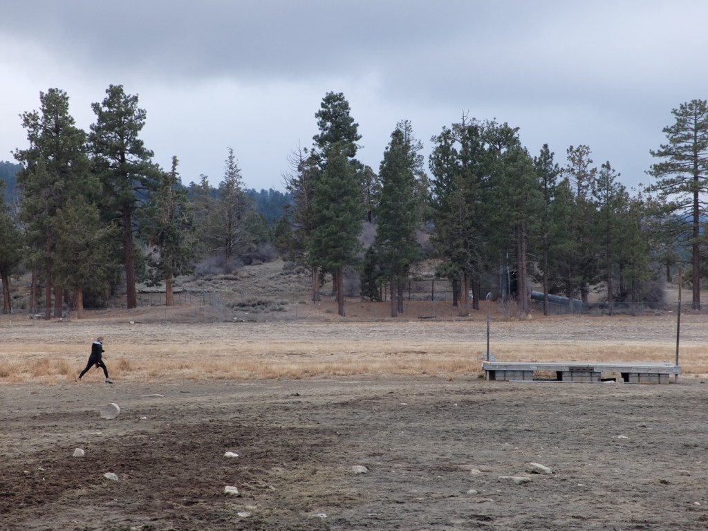 Spring Break (1/2): &laquo;&nbsp;Des antilopes et des ours&nbsp;&raquo;