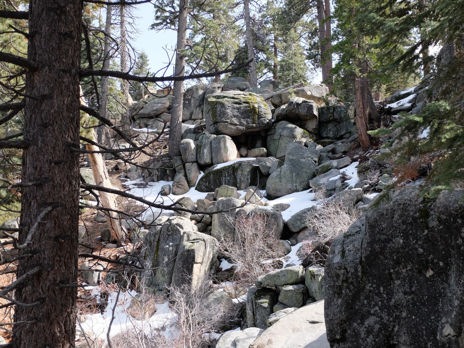 DSCF3918