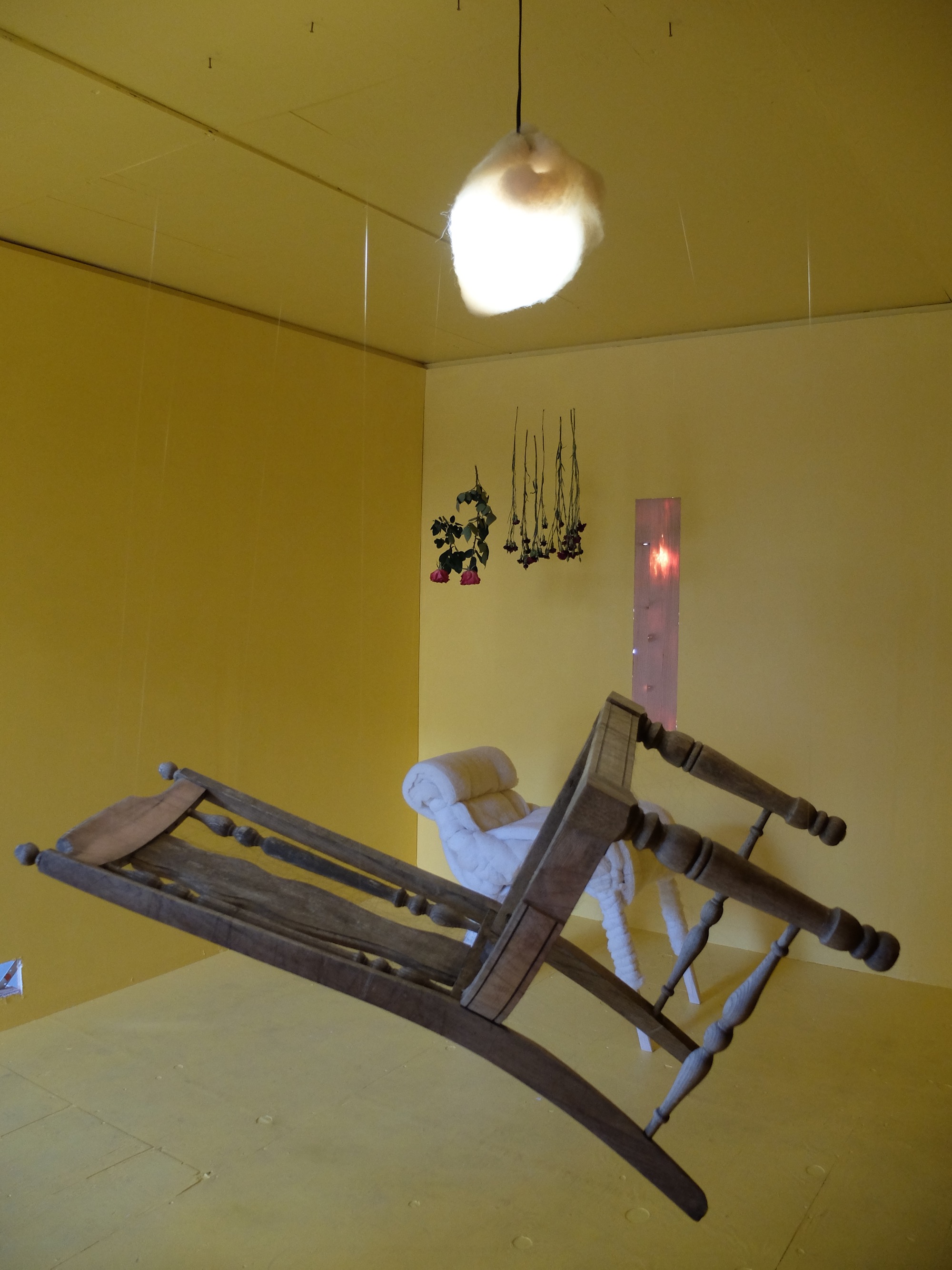 DSCF4613