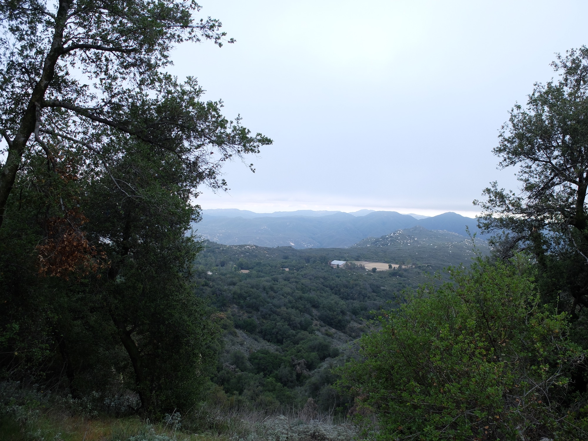 DSCF4717