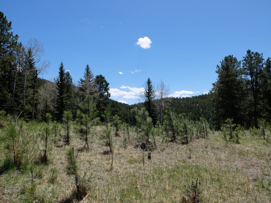 Colorado : &laquo;&nbsp;Staunton State Park après visite chez l&rsquo;ophtalmo&nbsp;&raquo; (2/3)