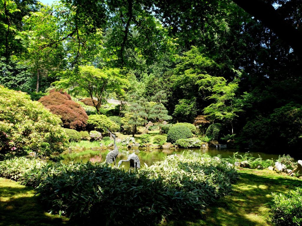 Portland : &laquo;&nbsp;Exploration du Washington Park en roses, en carpes et en coeurs&nbsp;&raquo; (2/3)