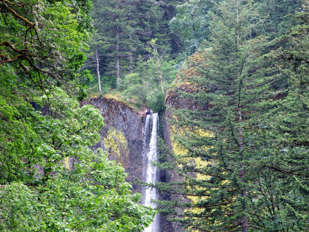 Oregon : &laquo;&nbsp;I want to stay South of the (Columbia) River&nbsp;&raquo; (2/2)