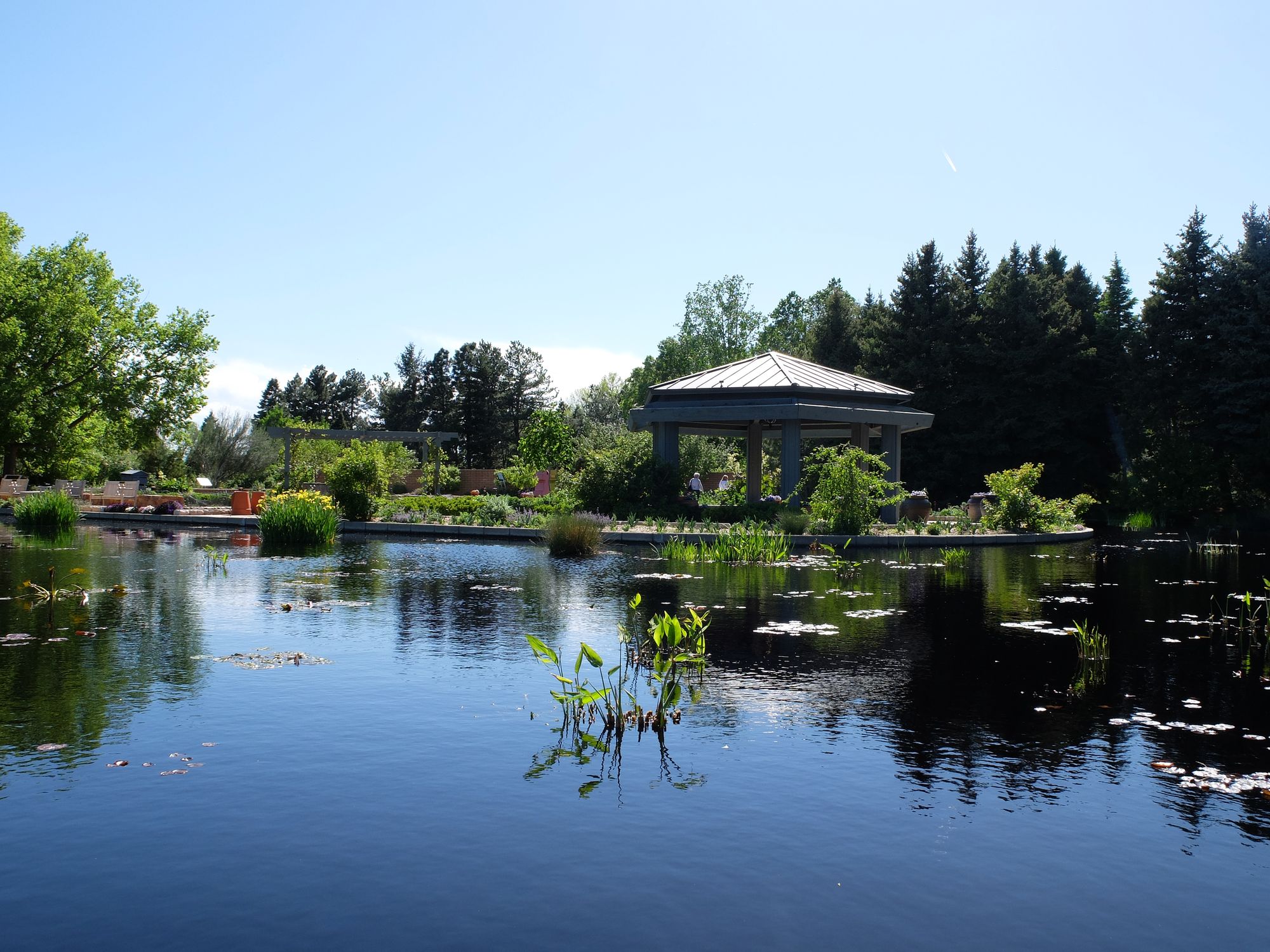DSCF4864