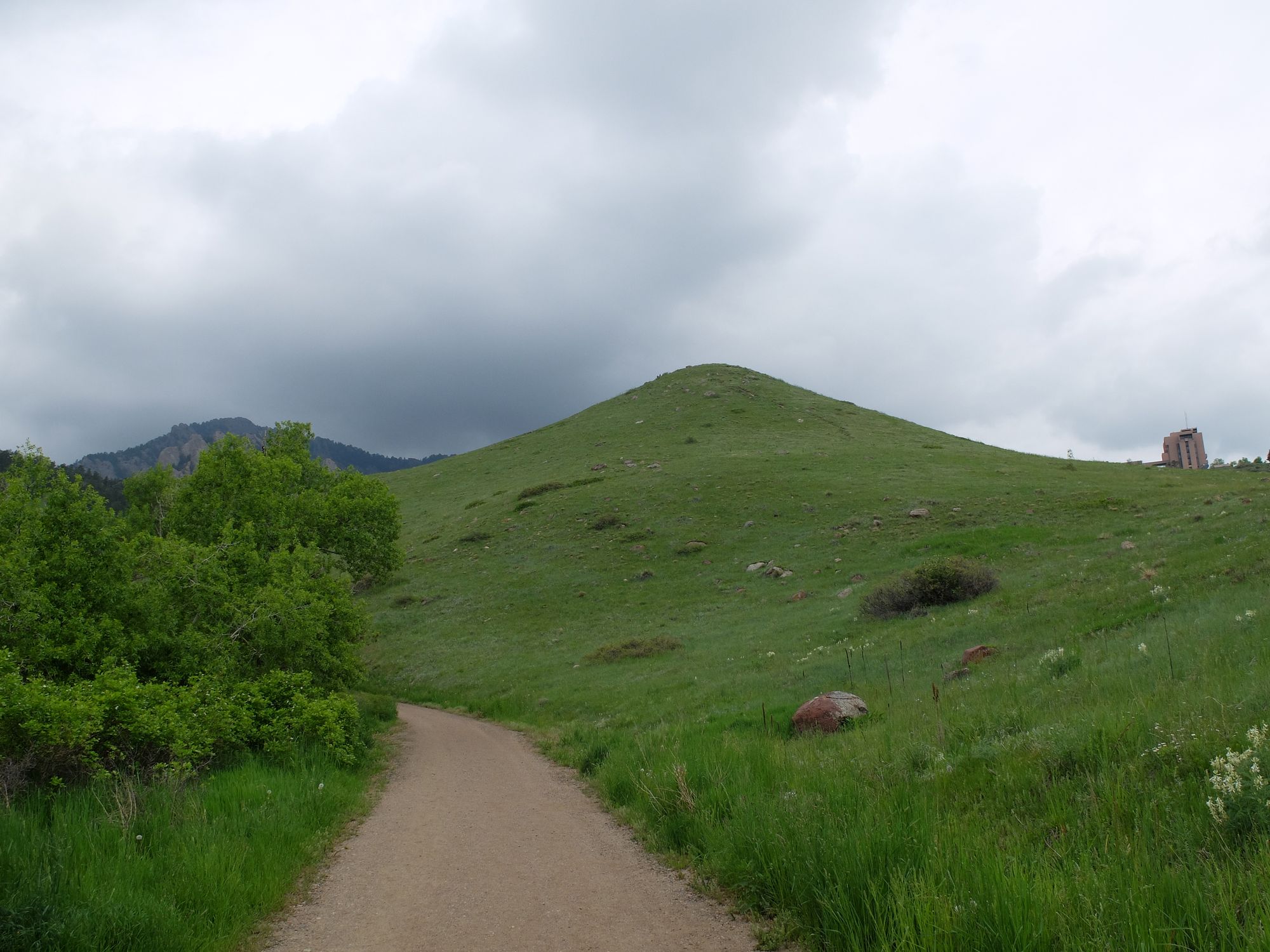 DSCF5007