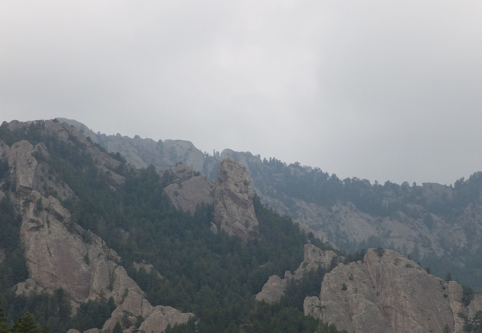DSCF5009