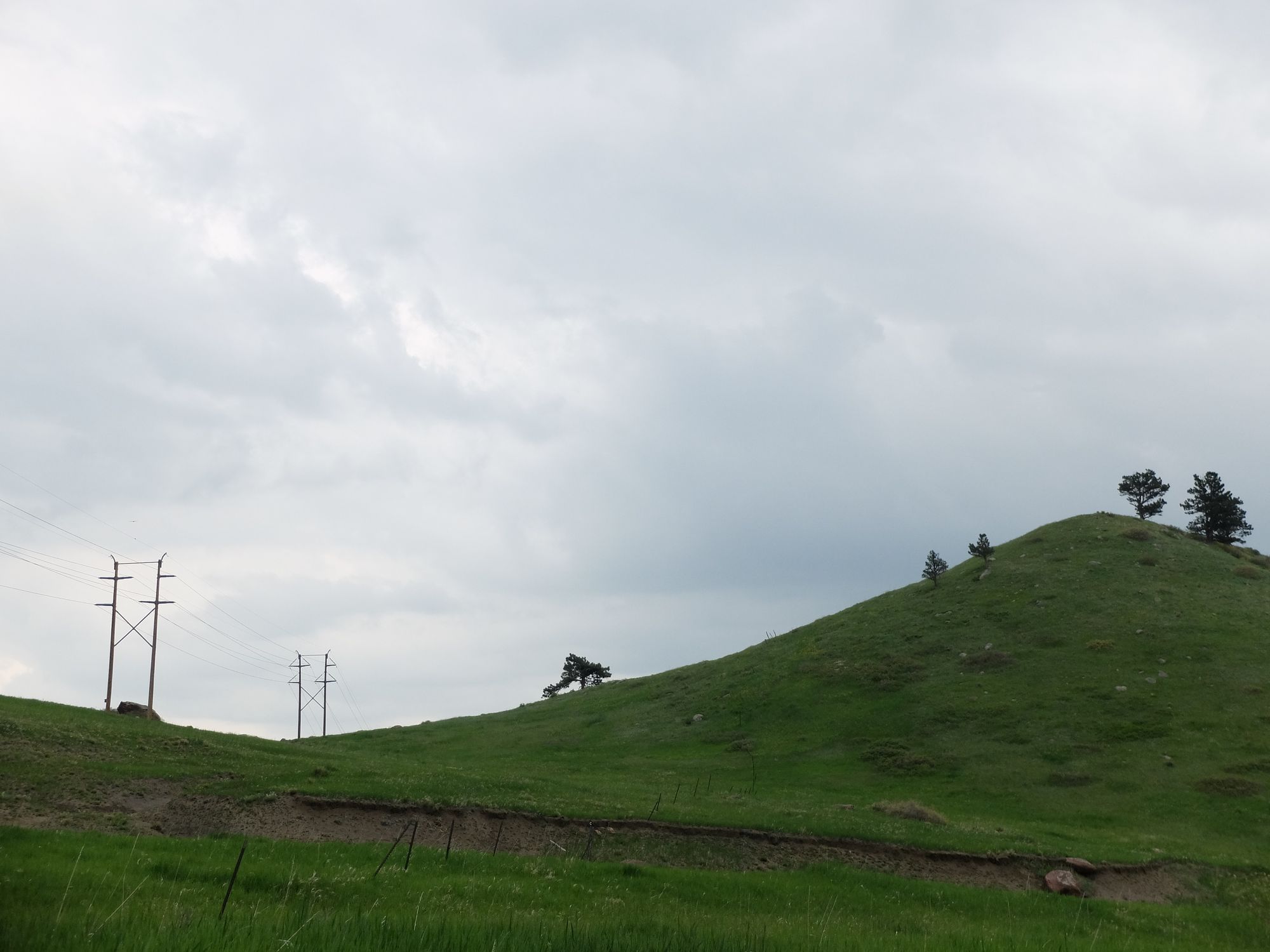 DSCF5010