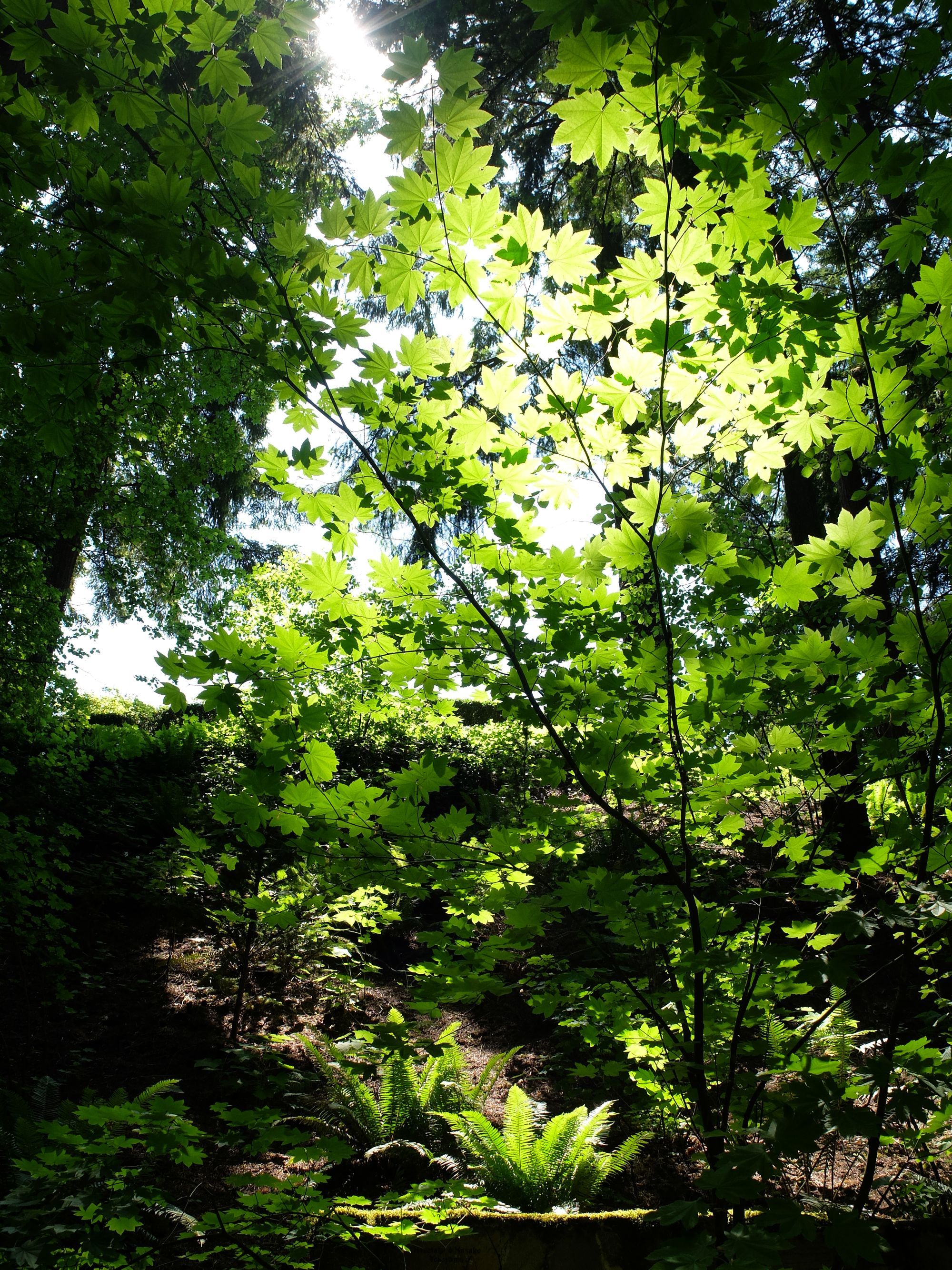 DSCF5176