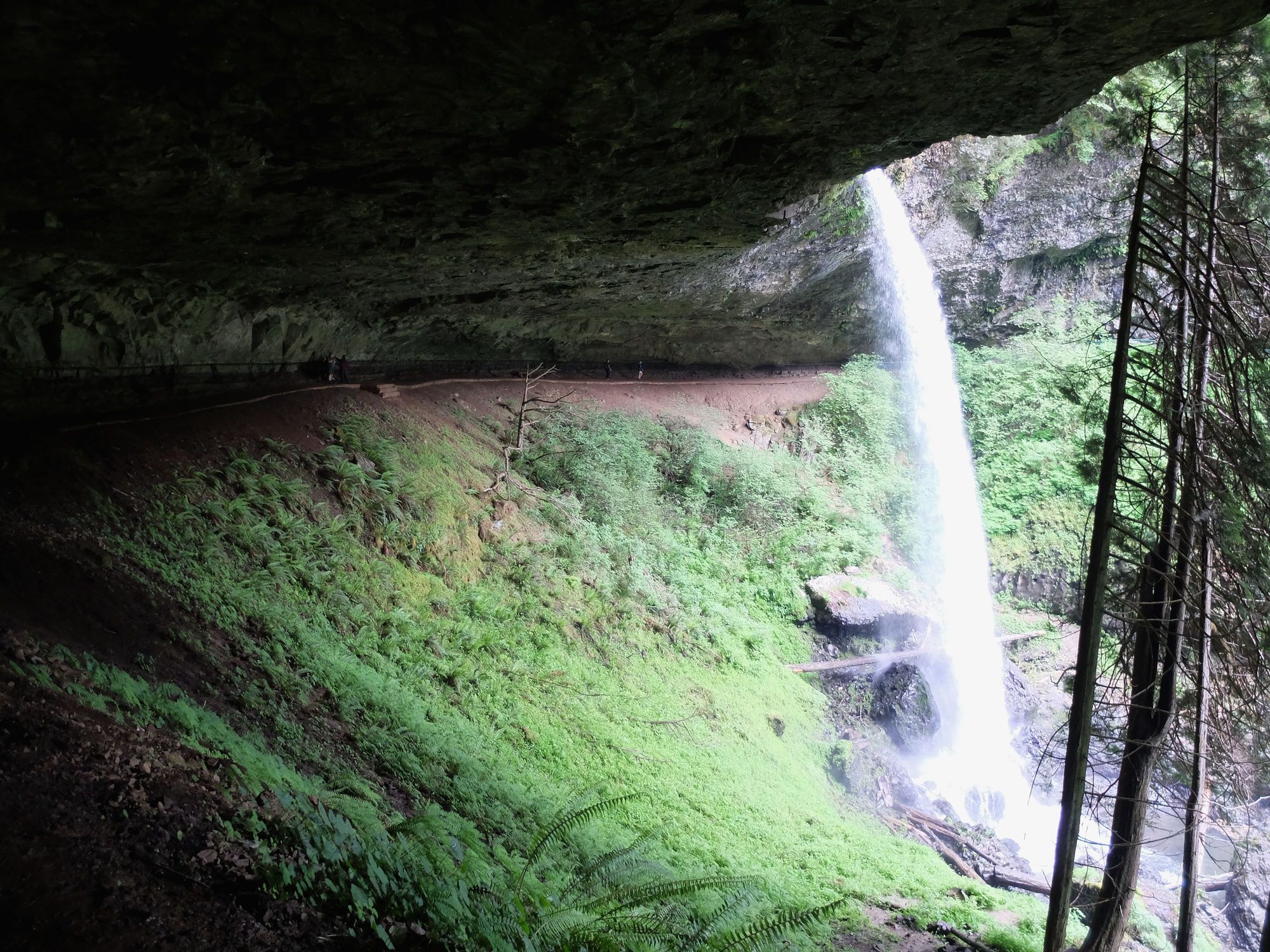 DSCF5315