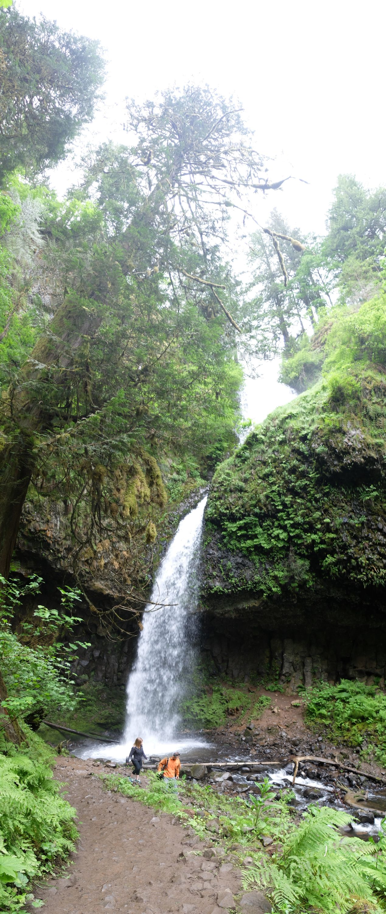 DSCF5391