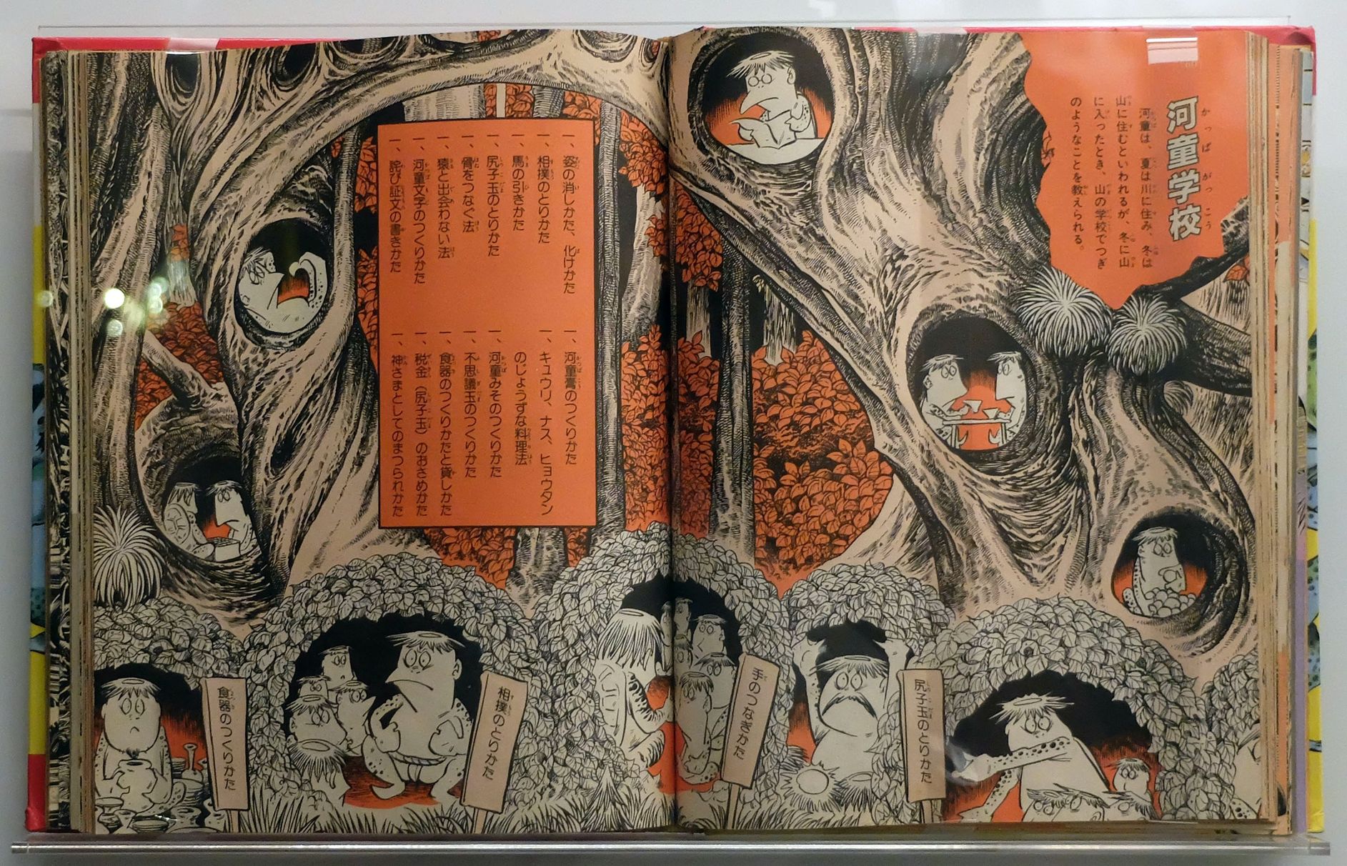 DSCF5495