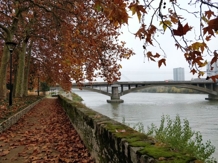 46334462_781904625481510_5696768918320840704_n