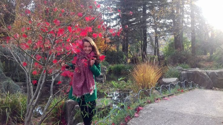 46384930_331962087599719_7857228658954469376_n