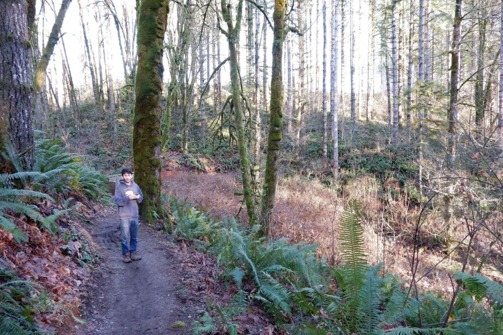 Mima Mounds & Mima Falls Trail : au coeur de la Capitol State&nbsp;Forest