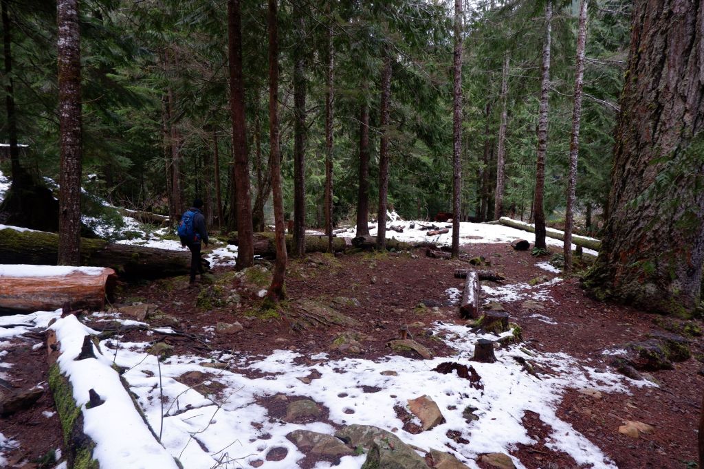 Vert velours et blanche neige à Lena Lake : sur les traces des&nbsp;couguars