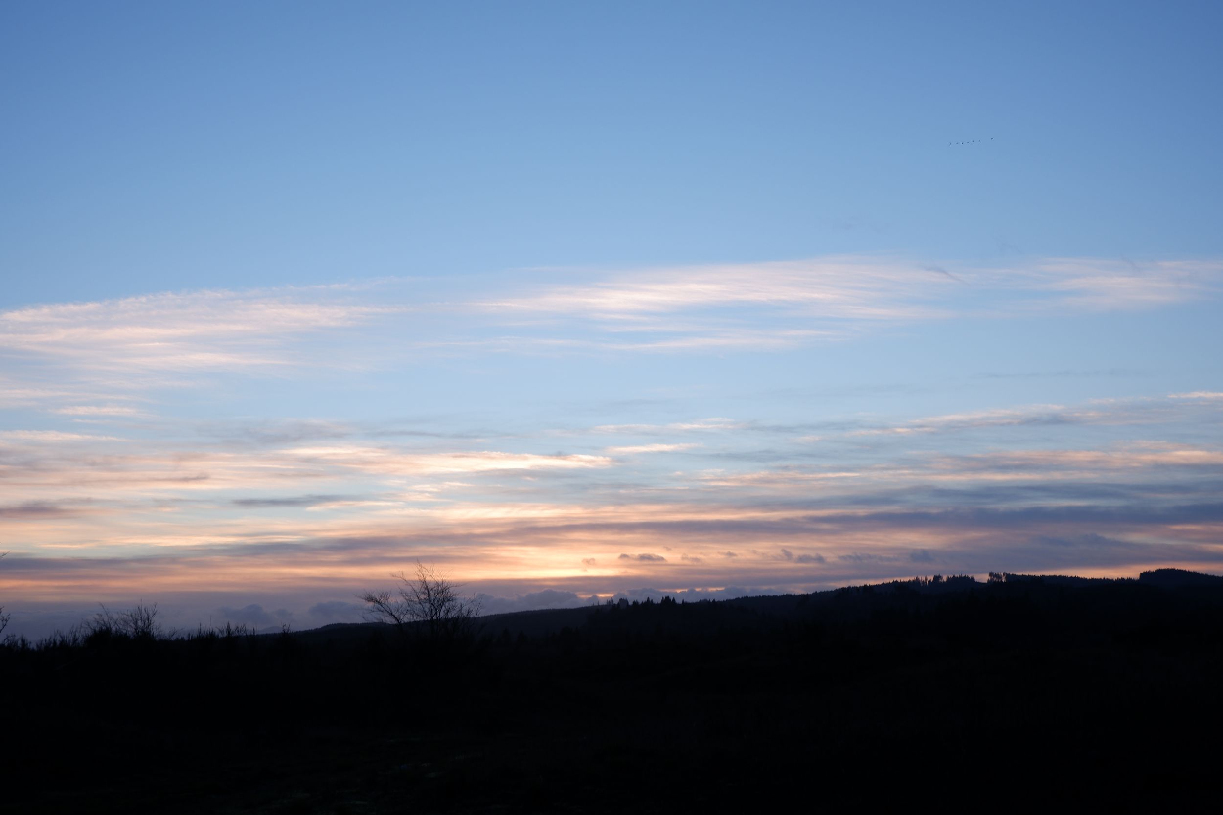 dscf5459