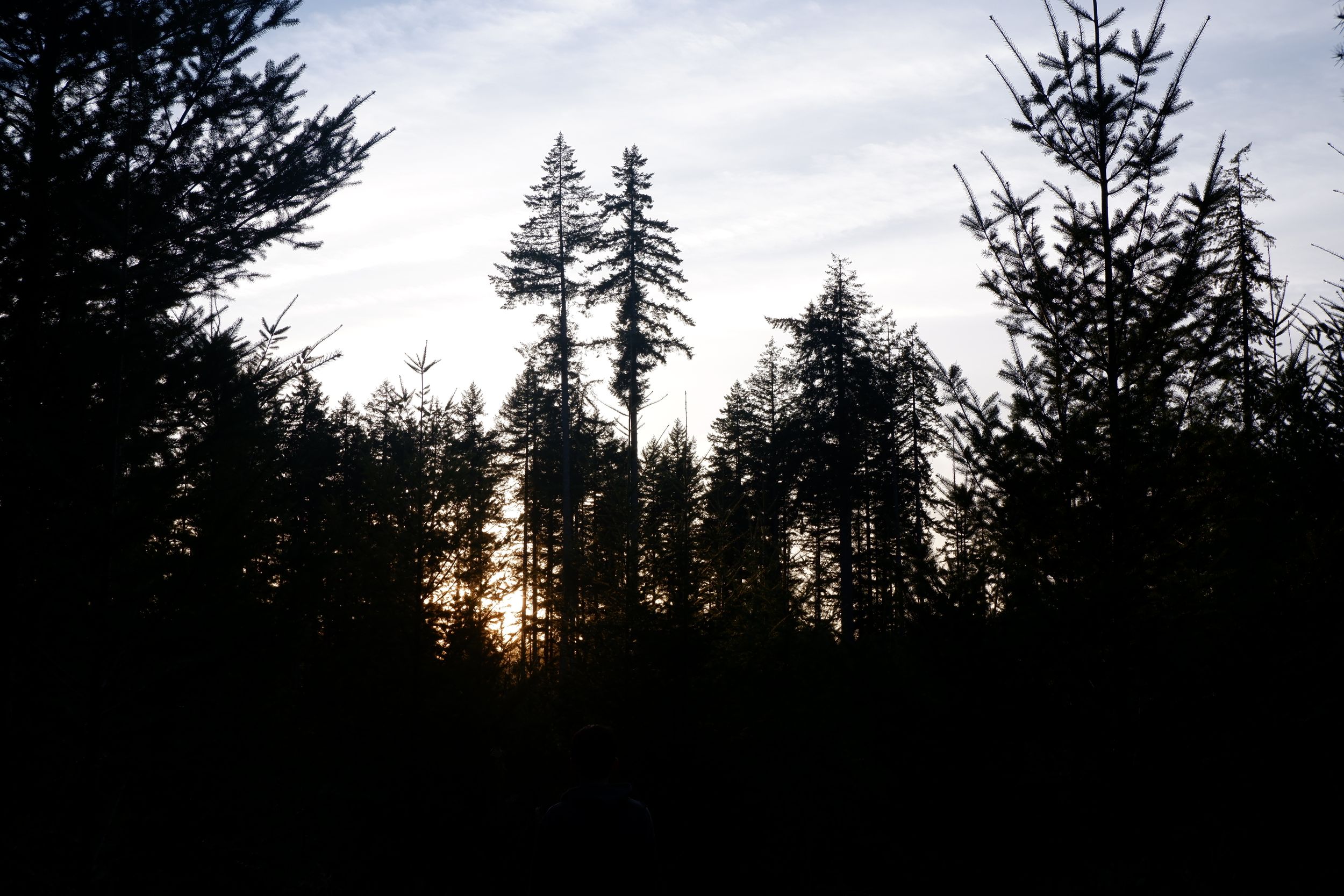 dscf5501