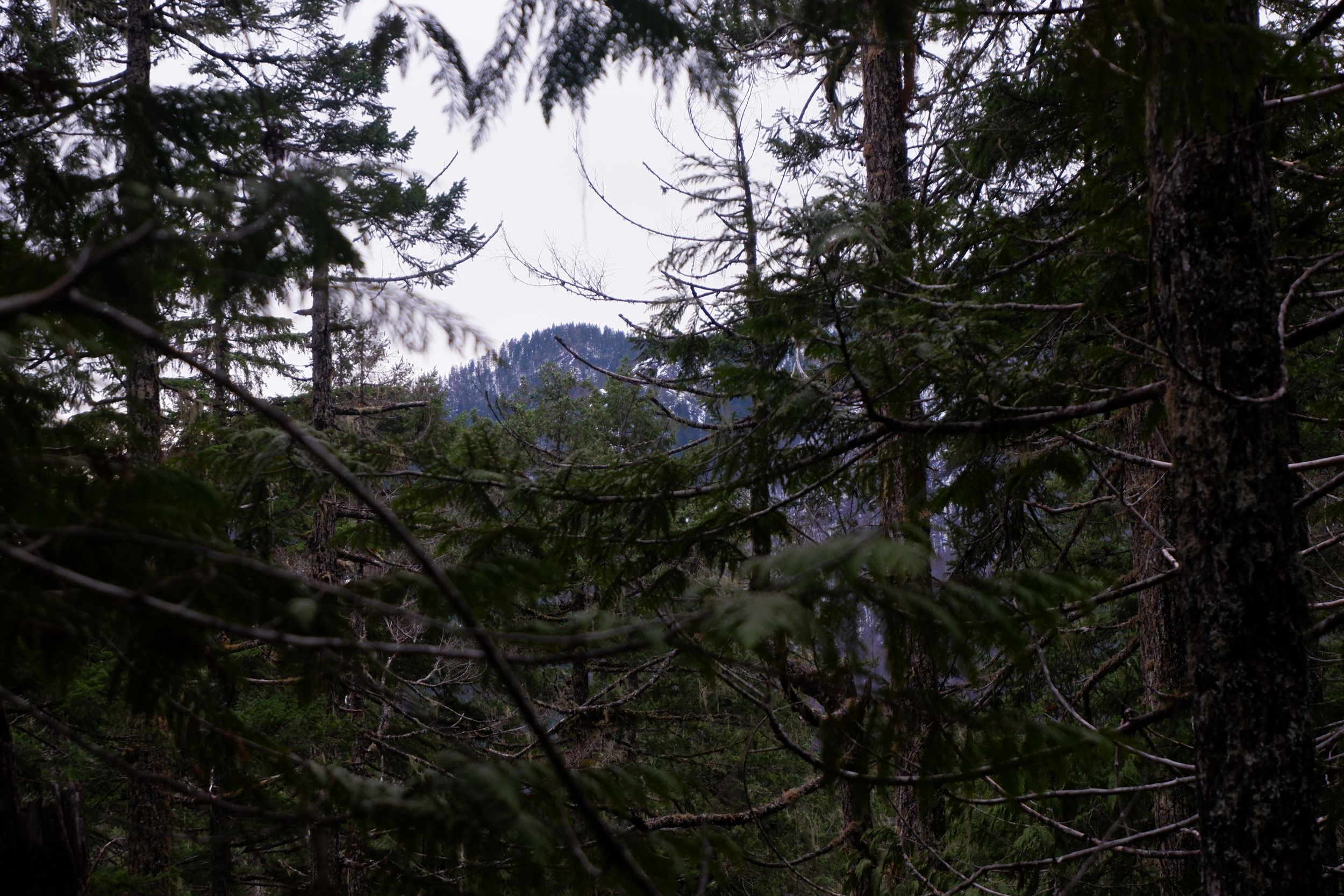 dscf5542