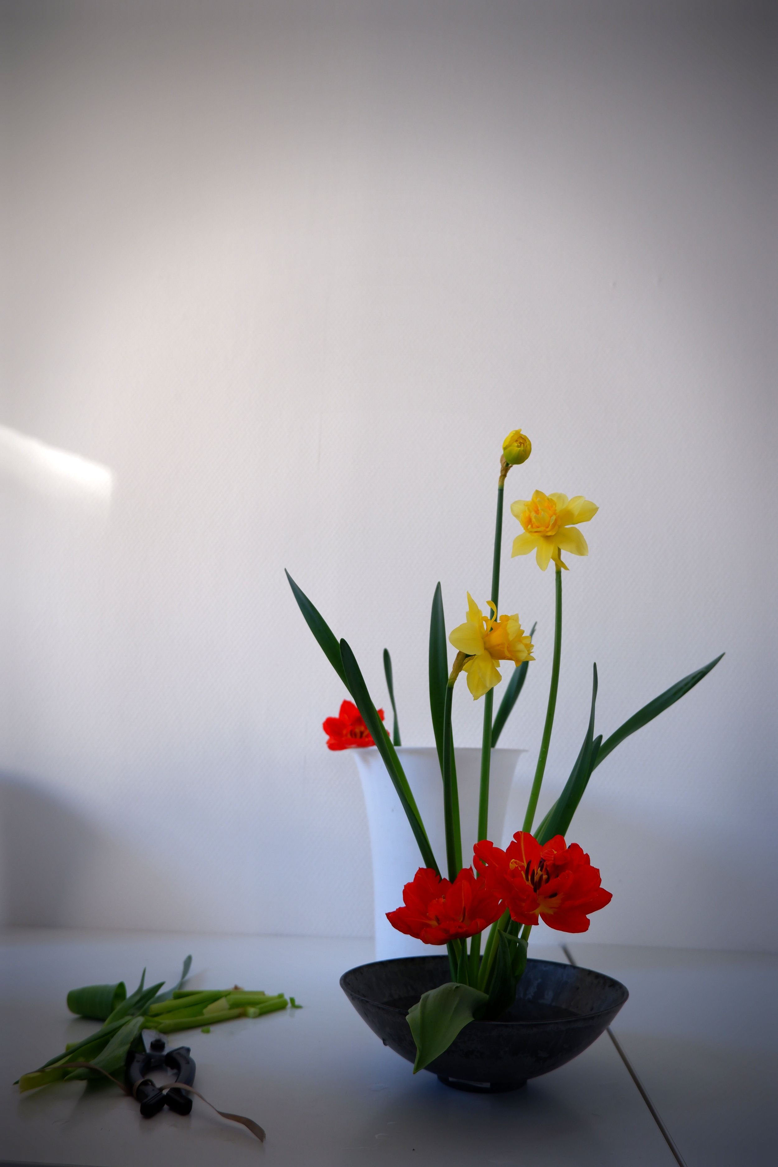 DSCF6043