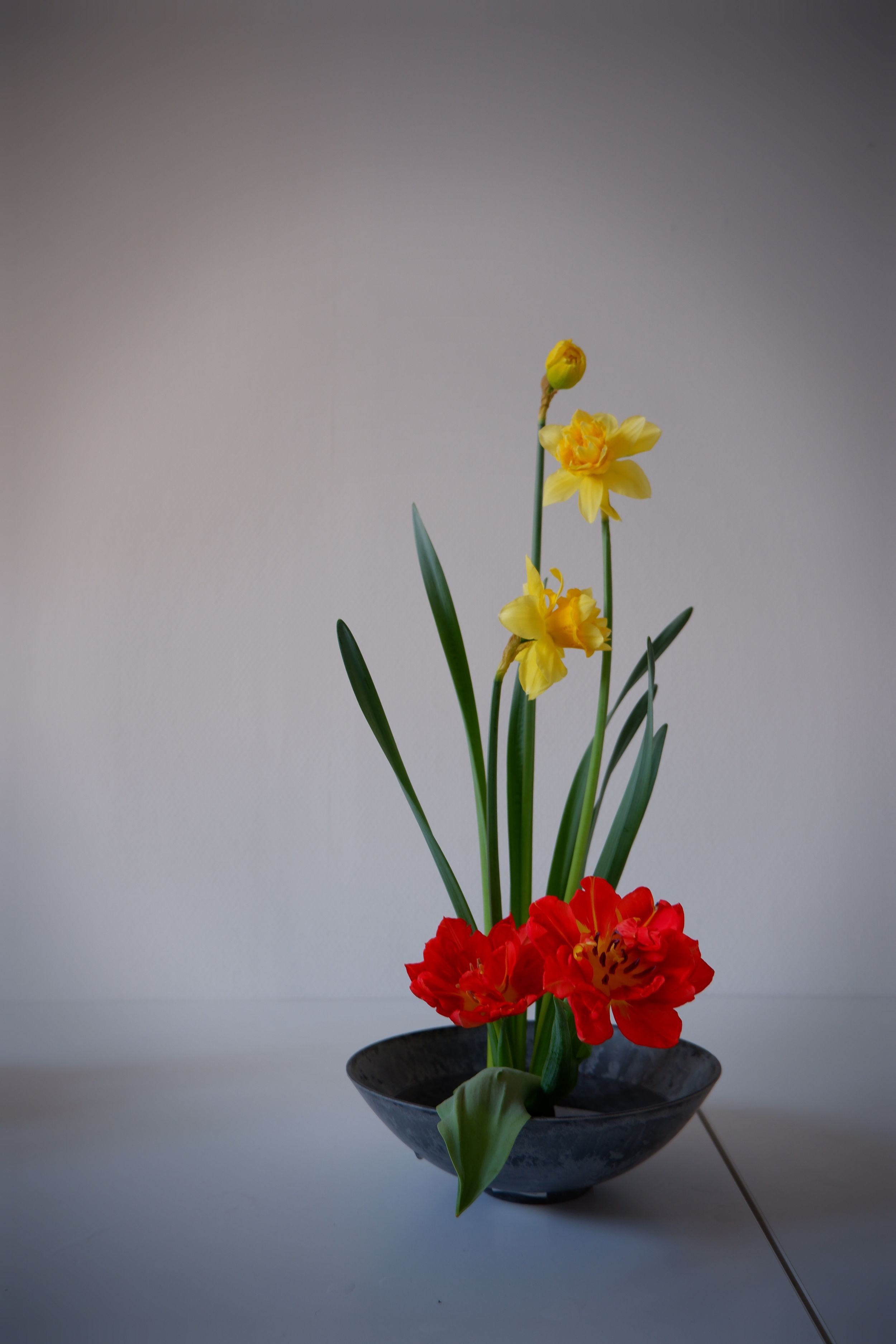 DSCF6055