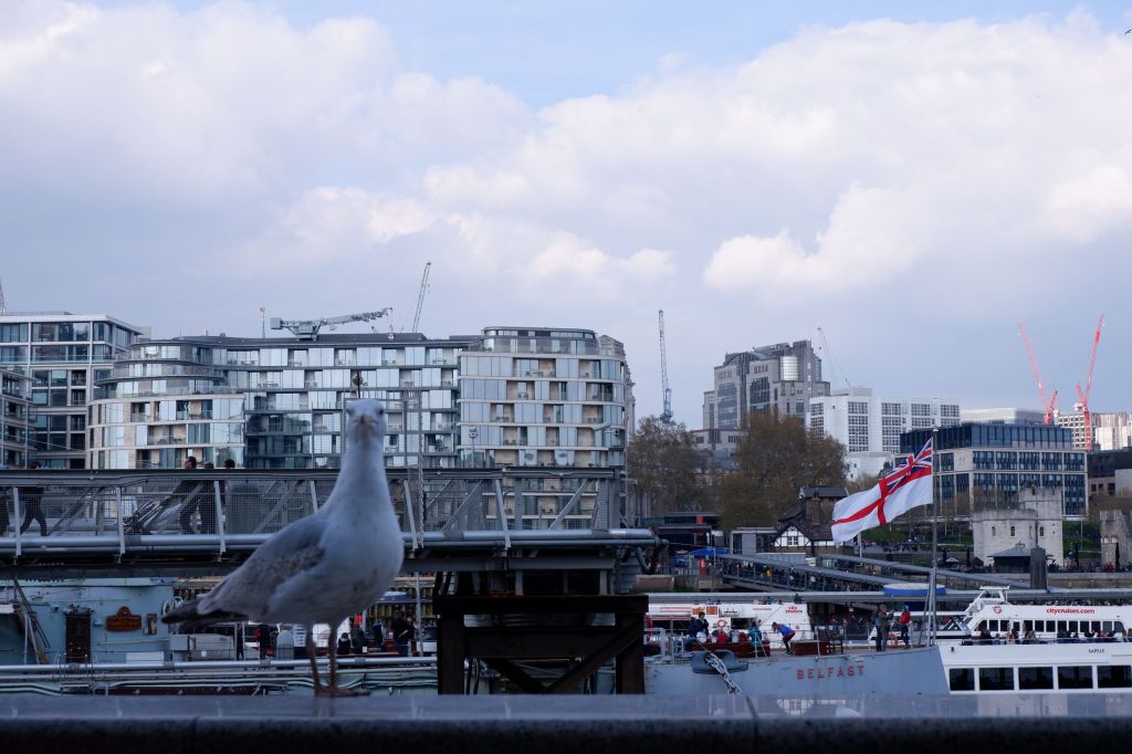 London calling : une randonnée dans la ville&nbsp;(2/3)