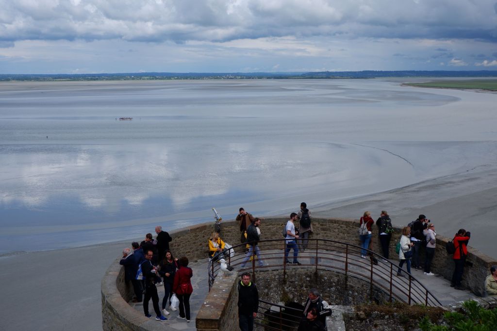 Le Mont Saint-Michel : des ombres et des lumières, des moutons et des&nbsp;chats