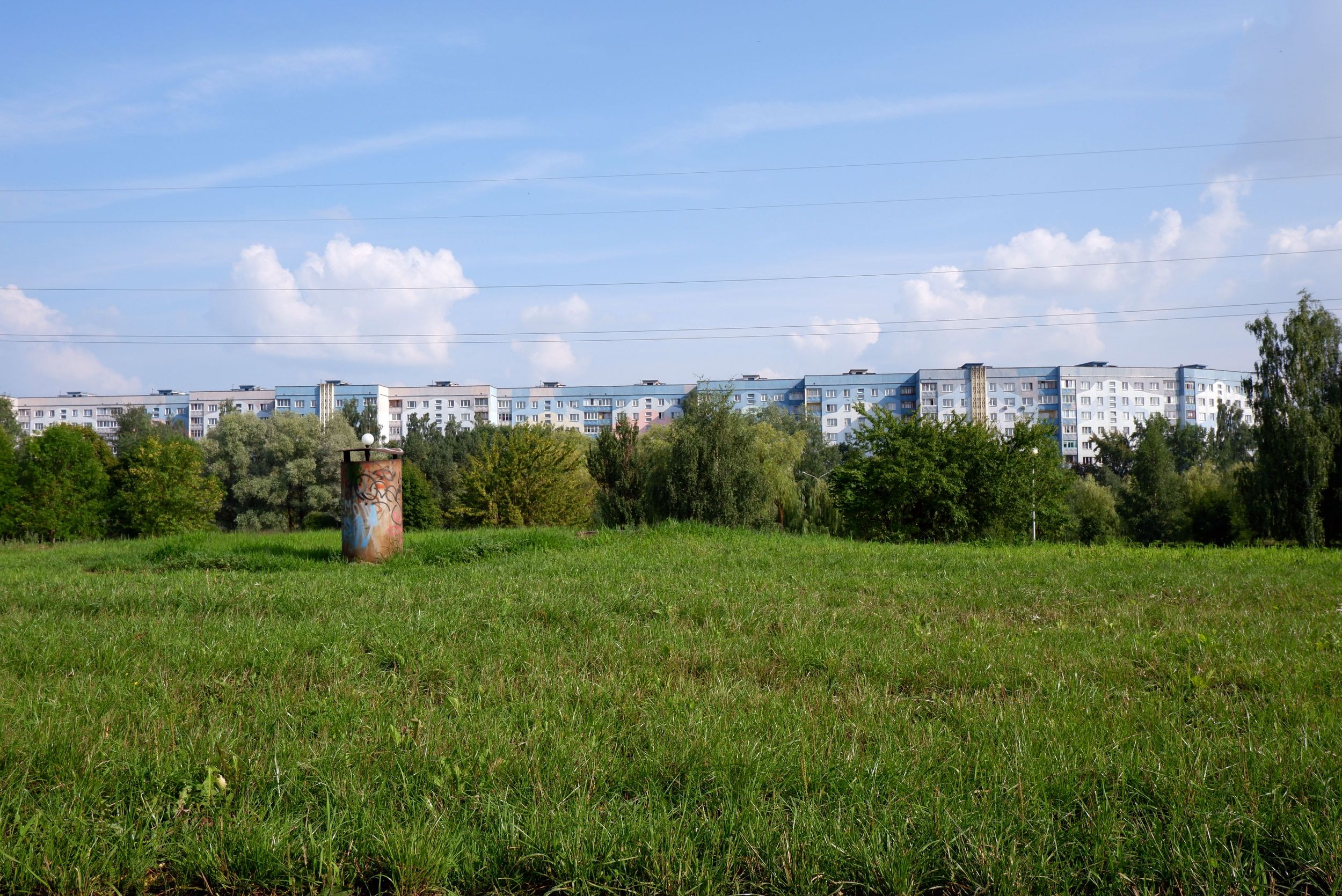 DSCF8371