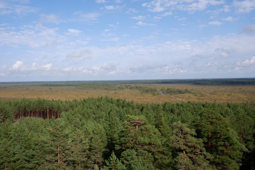 De Haapsalu à Parnü : terminus dans la capitale de l&rsquo;été et des&nbsp;tourbières