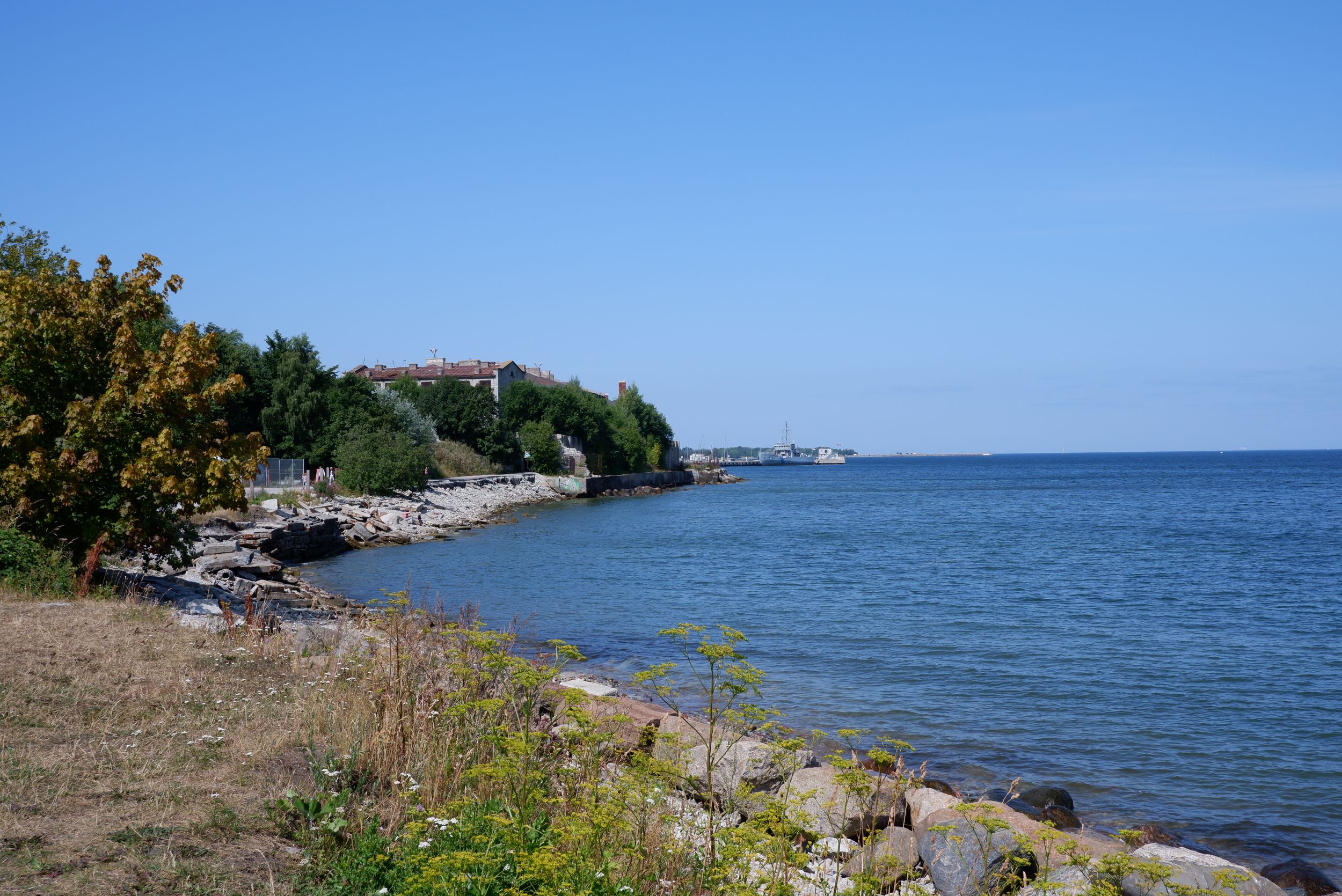 DSCF8751