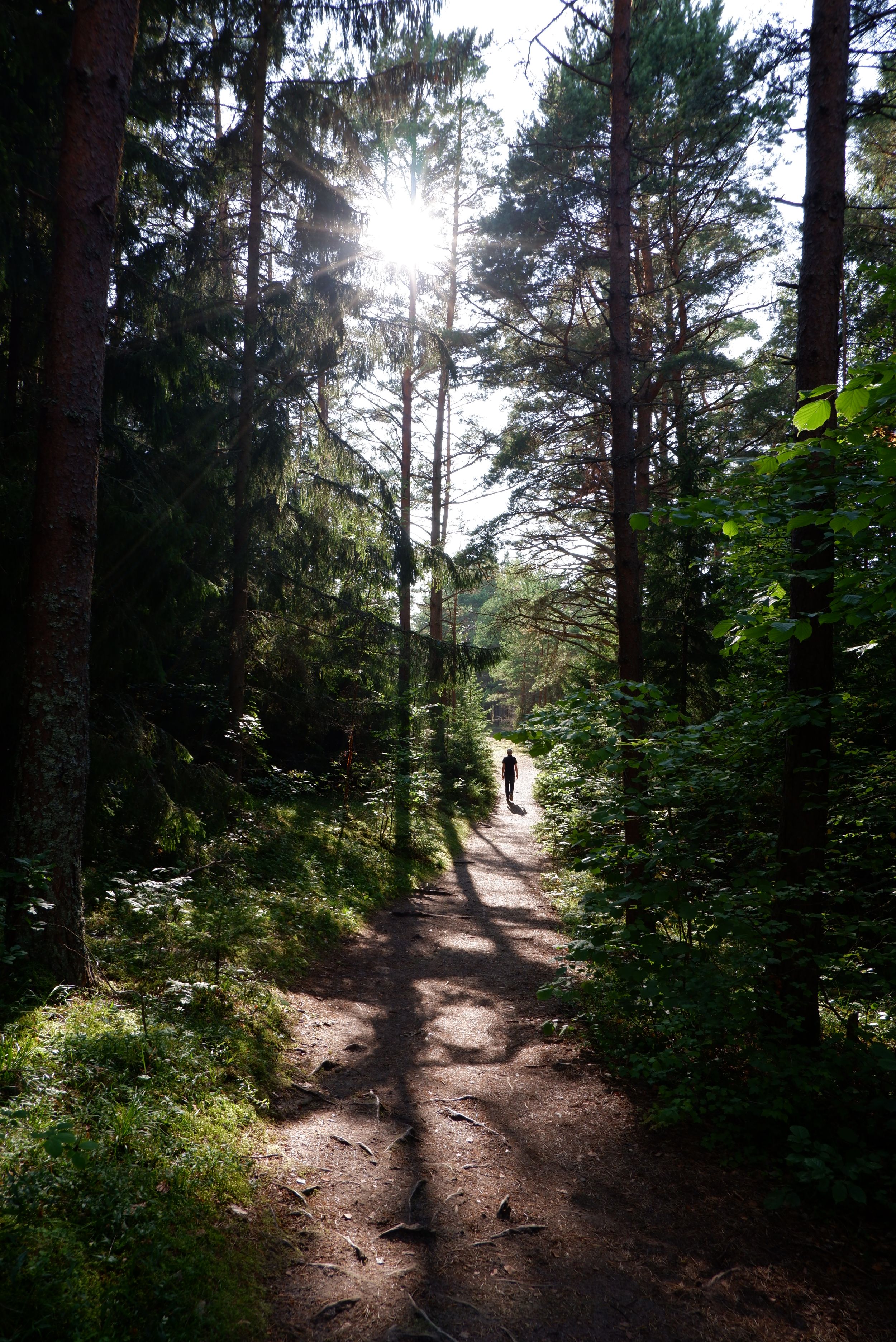 DSCF9349